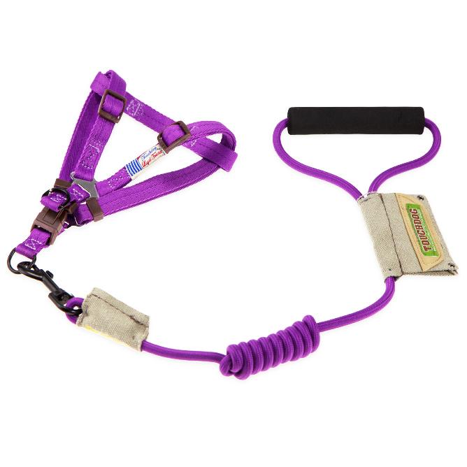 Touchdog Faded-Barker 2-in-1 Fashion Dog Leash and Harness