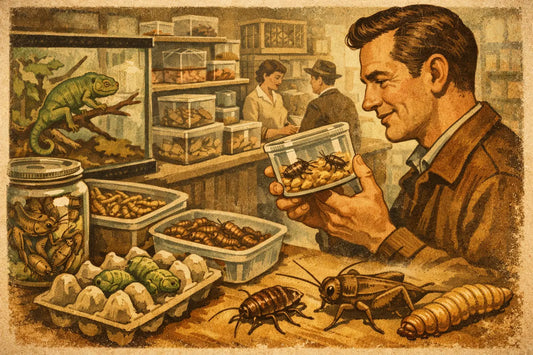 Where to Buy Feeder Insects With Confidence