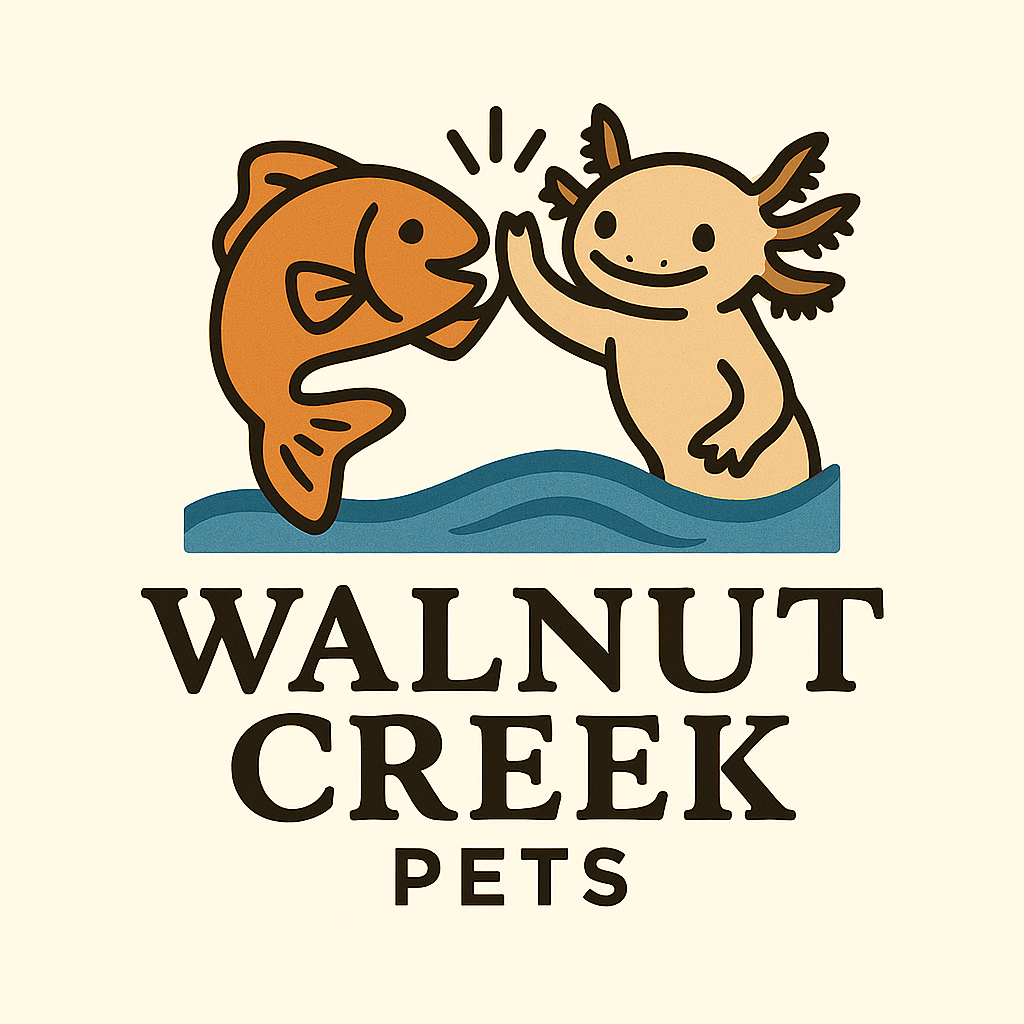 The Weekend Reptile Habitat Upgrade: A Simple Change That Reduces Stress (Story + Checklist)