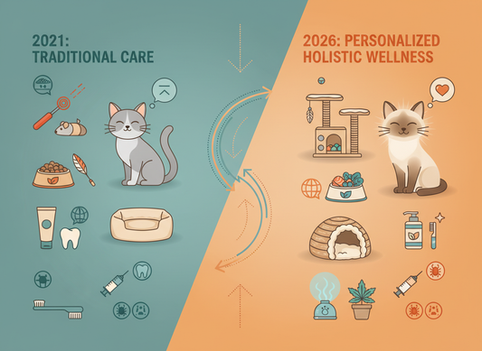 What’s Changed in Cat Vet Care (2021–2026): Vaccines, Parasite Prevention & a More Personalized Approach