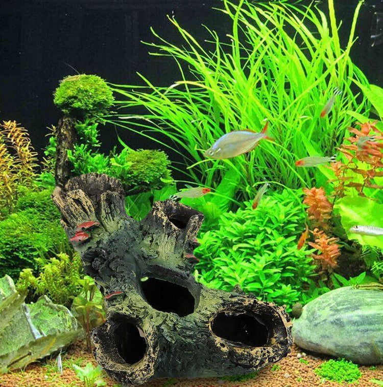 Aquarium Decorations and Accessories