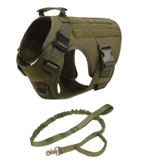 Dog Harness, Collar & Tag
