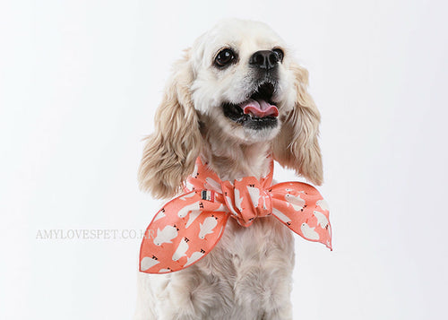 Dog Clothing & Costumes!