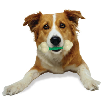 Nylabone Power Chew Double Action Durable Dog Toy Bacon, 1ea/Medium/Wolf  Up To 35 Lbs. 1 ct