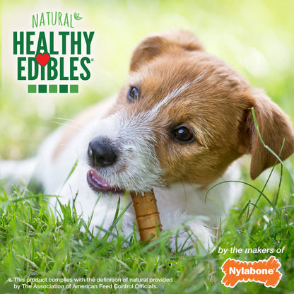 Nylabone Healthy Edibles AllNatural Long Lasting Chew Treats Turkey  Apple, 1ea/SMall/Regular  Up To 25 Ibs. 4 ct