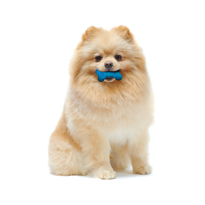 Nylabone Moderate Chew FlexiChew Bone Peanut Butter & Bacon 1ea/XXS/Tiny - Up To 8 lb