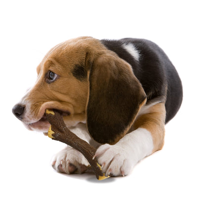 Nylabone Strong Chew Real Wood Dog Stick Toy 1ea/Medium/Wolf  Up To 35 Lbs. 1 ct