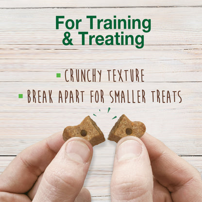Nylabone Healthy Edibles Biscuits Grain Free Dog Treats Peanut Butter & Apple 1ea/12 oz