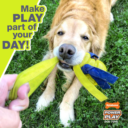 Nylabone Power Play Tennis Gripz  Tennis Balls for Dogs 1ea/SMall/Regular  Up To 25 Ibs. 1 ct