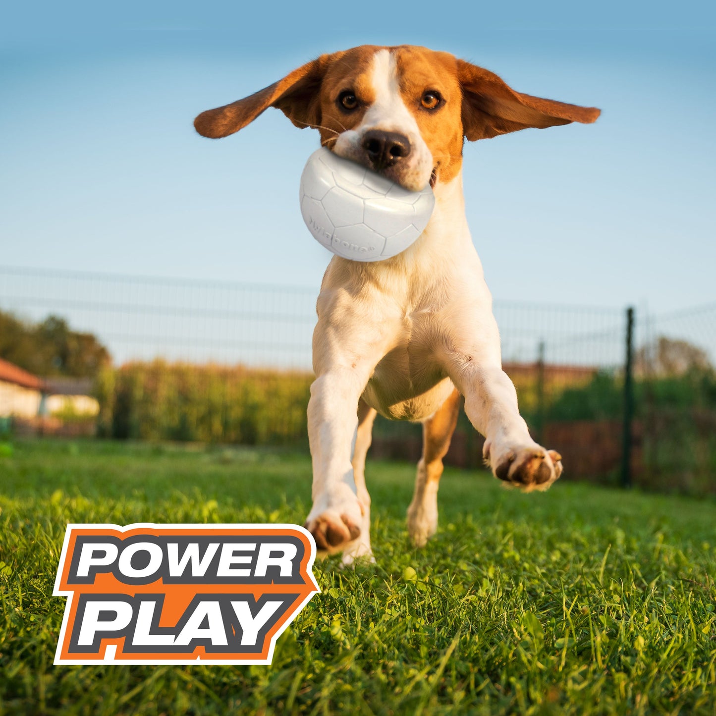 Nylabone Power Play Gripz Dog Soccer Ball Toy 1ea/Medium/Wolf  Up To 35 Lbs. 1 ct