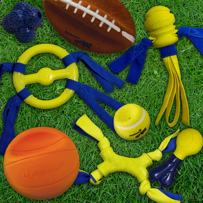 Nylabone Power Play FlingaBounce Interactive Dog Toy 1ea/Large/Giant  Up To 50 Lbs. 1 ct