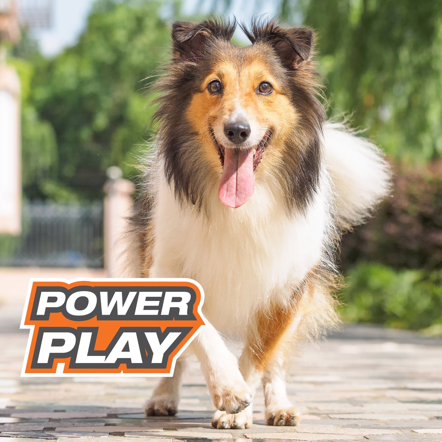 Nylabone Power Play Rubber Dog Toy FetchaBounce 1ea/SMall/Regular  Up To 25 Ibs. 1 ct