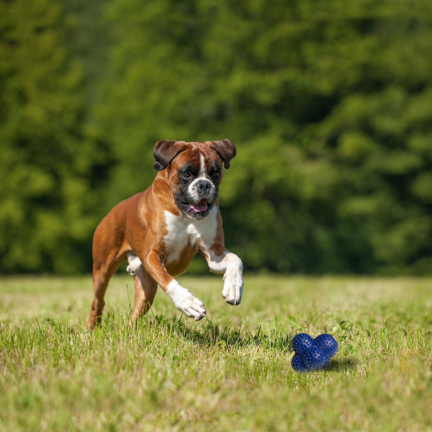Nylabone Power Play Ball for Dogs Crazy Ball 1ea/Large/Giant  Up To 50 Lbs. 1 ct
