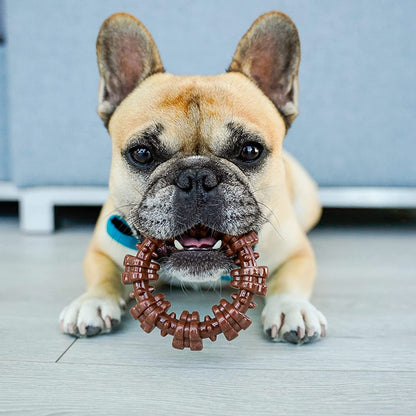 Nylabone Power Chew Textured Dog Ring Toy Flavor Medley, 1ea/SMall/Regular  Up To 25 Ibs. 1 ct
