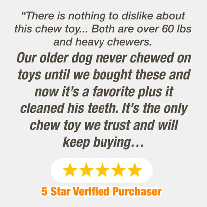 Nylabone Power Chew Textured Dog Ring Toy Flavor Medley, 1ea/SMall/Regular  Up To 25 Ibs. 1 ct