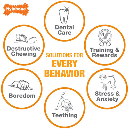 Nylabone Puppy Power Chew Axis Bone Nylon Chew Toy Vanilla, 1ea/SMall/Regular  Up To 25 Ibs. 1 ct