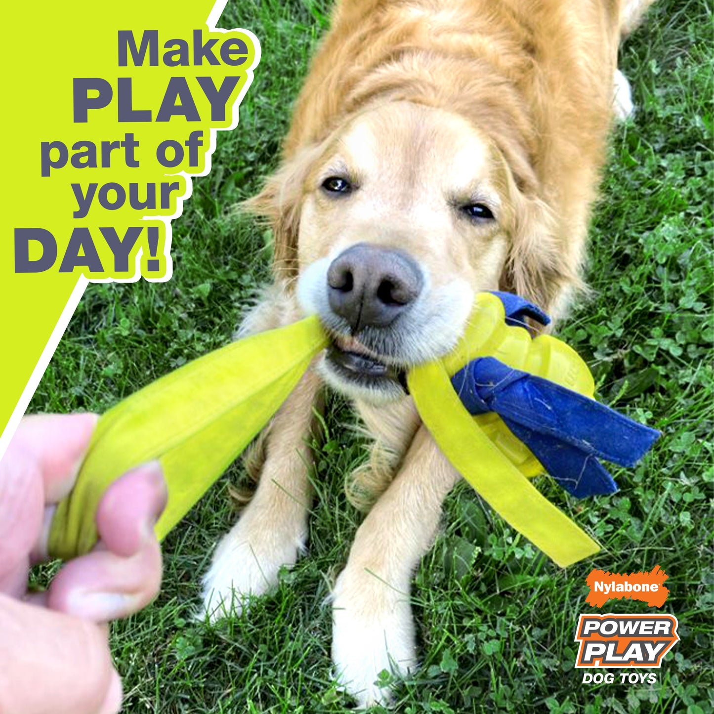 Nylabone Power Play Dog Baseball Gripz 1ea/Medium/Wolf  Up To 35 Lbs. 1 ct