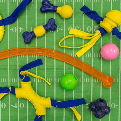 Nylabone Power Play Crazy Stick Dog Toy 1ea/1 ct