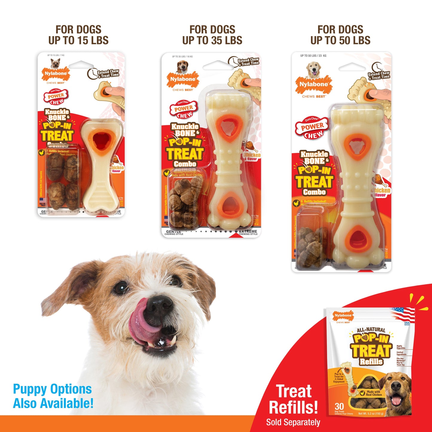 Nylabone Power Chew Souper Bone  PopIn Treat Toy Combo Chicken, 1ea/XS/Petite  Up To 15 Lbs. 1 ct
