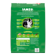 IAMS Minichunks Small Kibble High Protein Adult Dry Dog Food Real Chicken 15lb