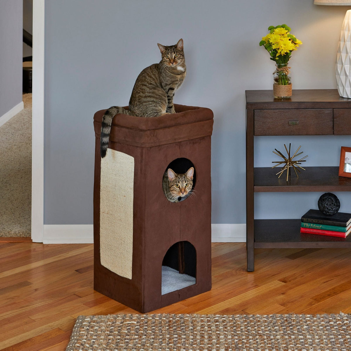 MidWest Homes for Pets Curious Cat Cube Condo Brown 1ea/15 X 30