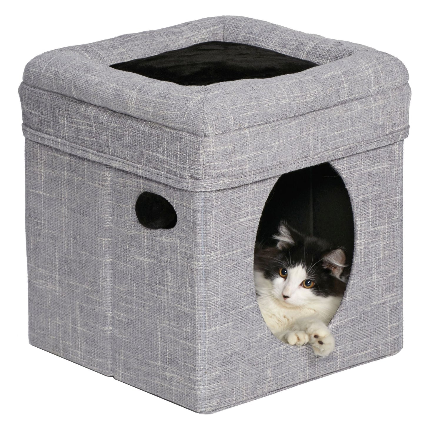 MidWest Homes for Pets Curious Cat Cube Silver 1ea/15 X 15