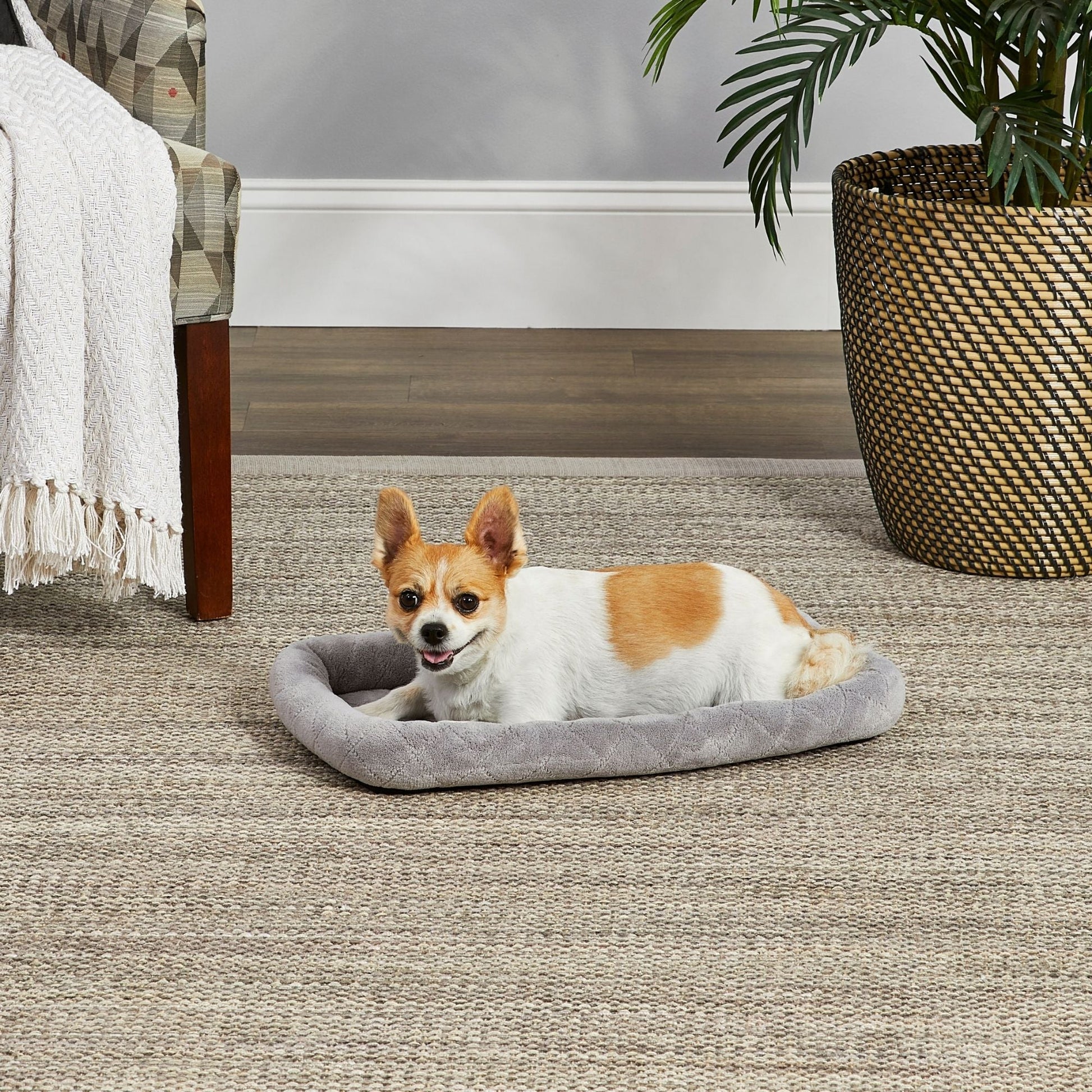MidWest Homes for Pets Deluxe Diamond Stitch Pet Dog Bed Gray 1ea/22in.