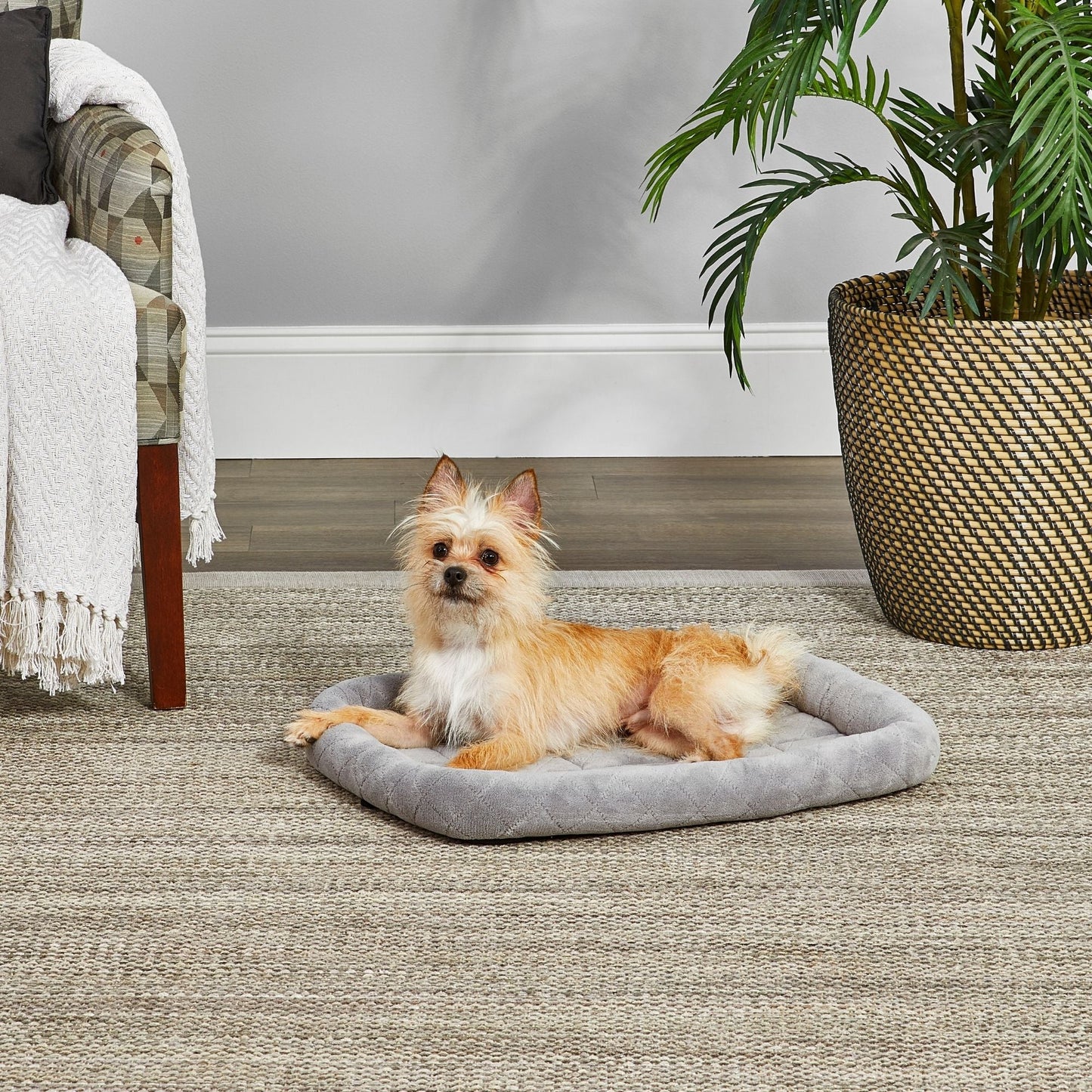 MidWest Homes for Pets Deluxe Diamond Stitch Pet Dog Bed Gray 1ea/24in.