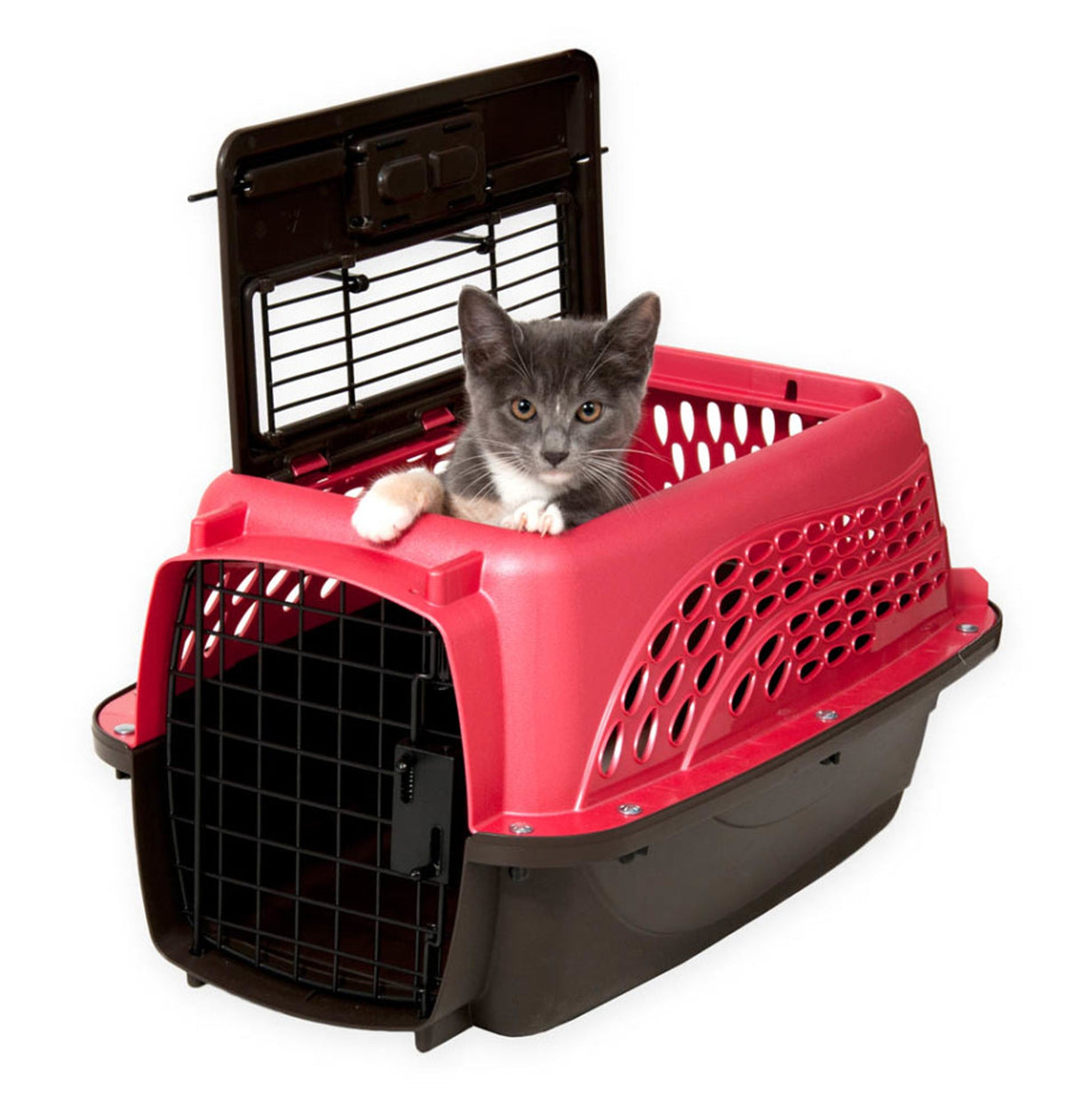 Petmate 2 Door Top Load Dog Kennel Pearl Honey Rose/ Coffee Grounds 19in