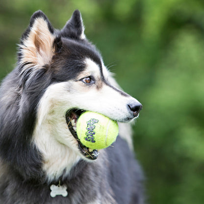 KONG SqueakAir Tennis Ball Dog Toy X-Small 3pk