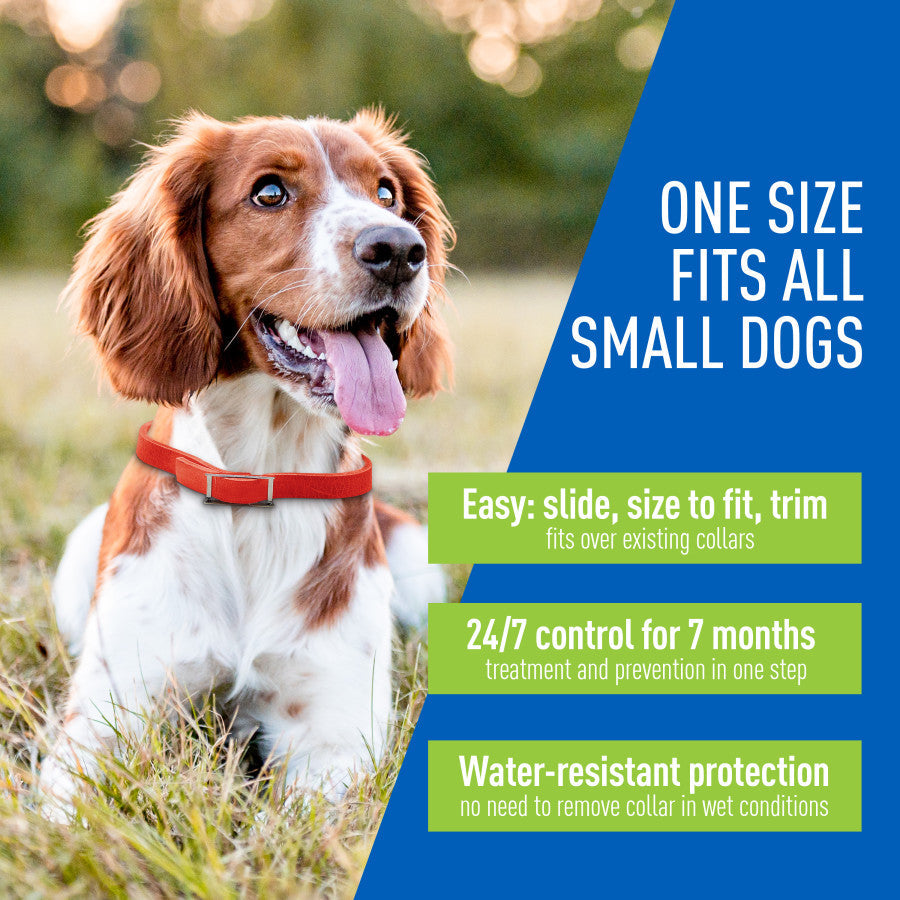 Adams Plus Flea & Tick Collar for Small Dogs