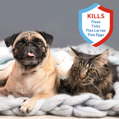 Adams Flea & Tick Spray 6ea/16oz