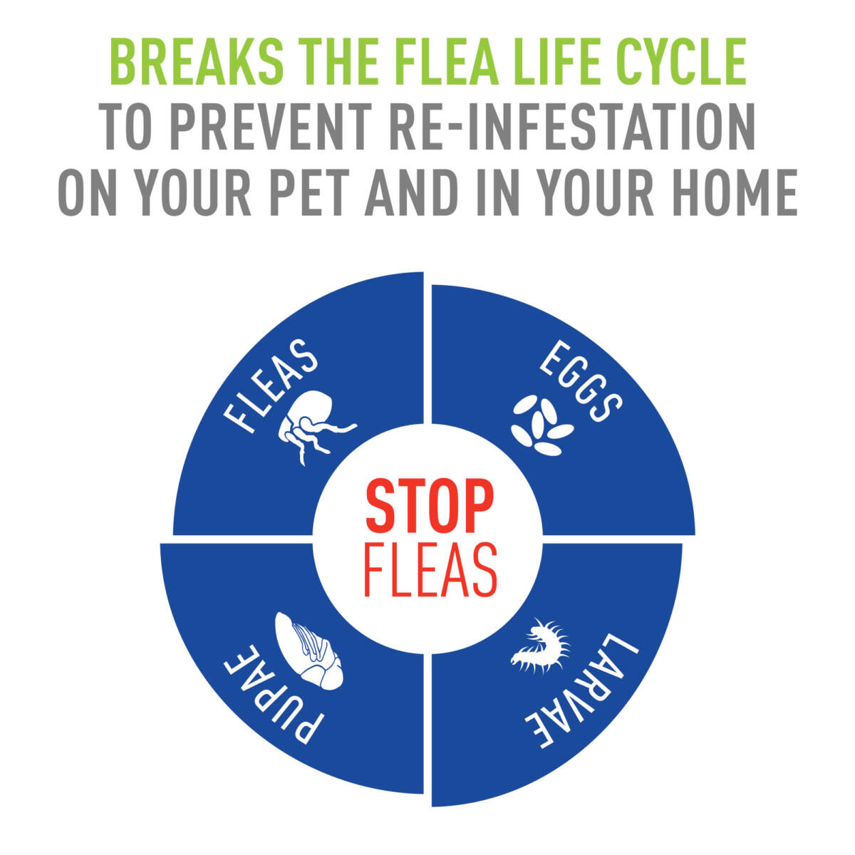 Adams Flea & Tick Spray 6ea/16oz