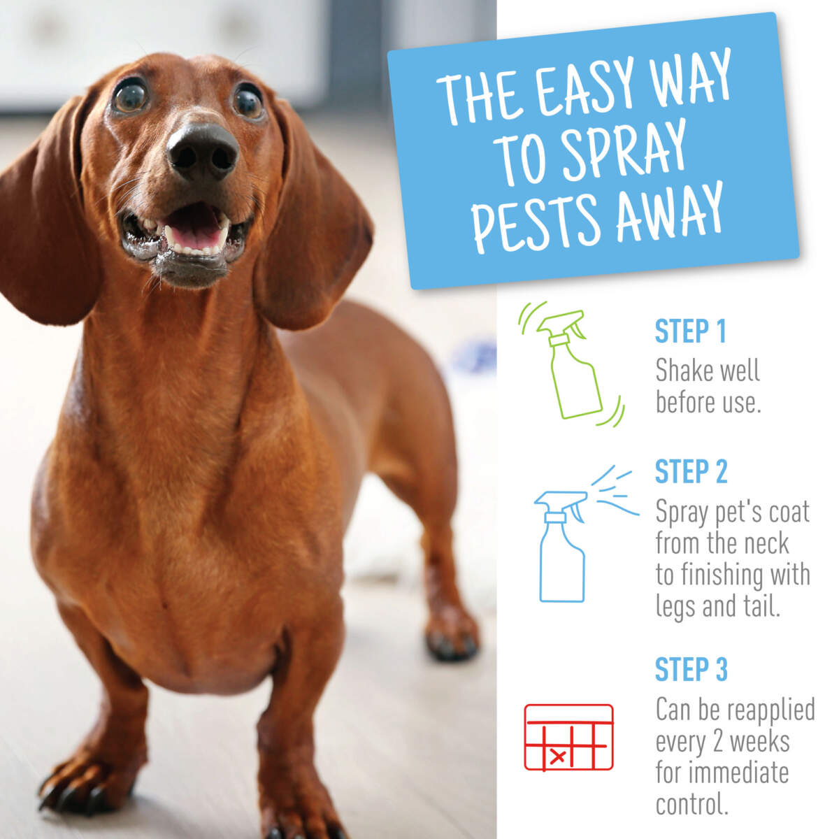 Adams Flea & Tick Spray 6ea/16oz