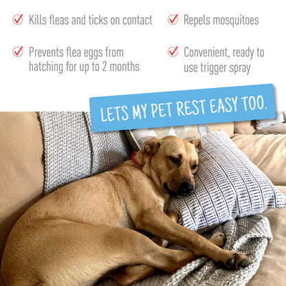 Adams Flea & Tick Spray 6ea/16oz