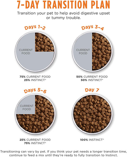 Natural Dry Cat Food, 10 Lb. Bag