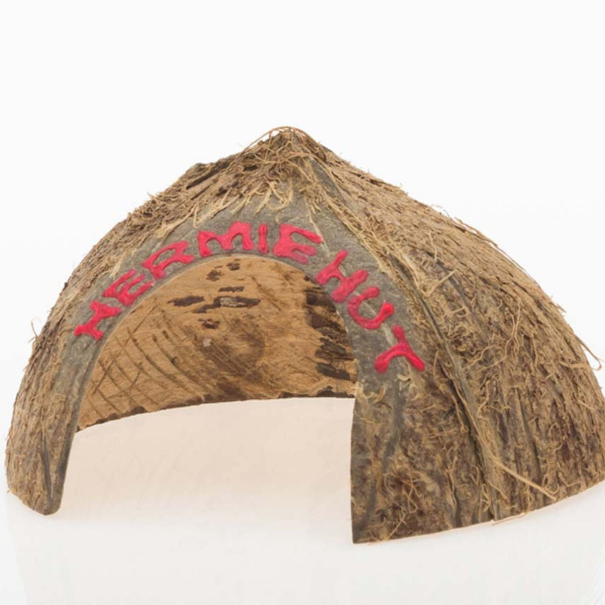 Florida Marine Research Hermit Crab Coconut Hut Brown 1ea/SM