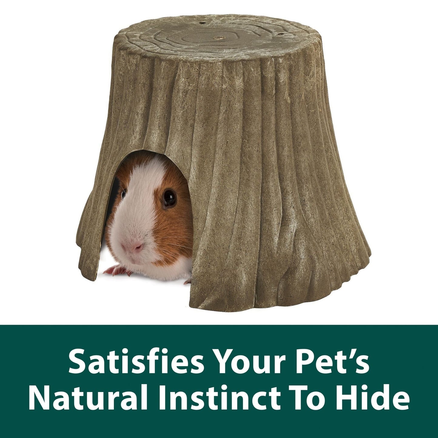 Kaytee Natural Tree Trunk Hideout Multi-Color 1ea/Large