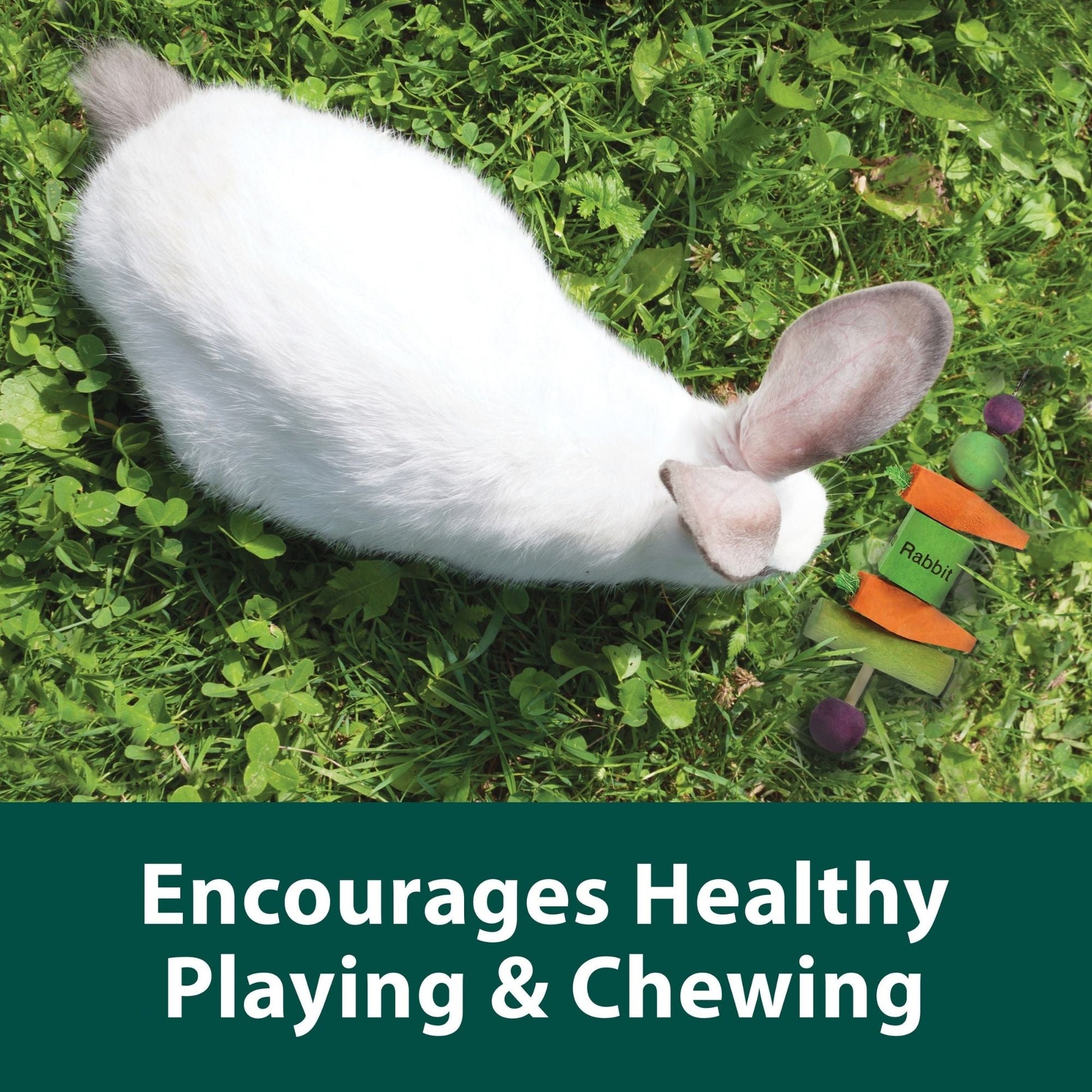 Kaytee Perfect Chews Rabbit 1ea/1in. X 2.5in. X 9.3in.