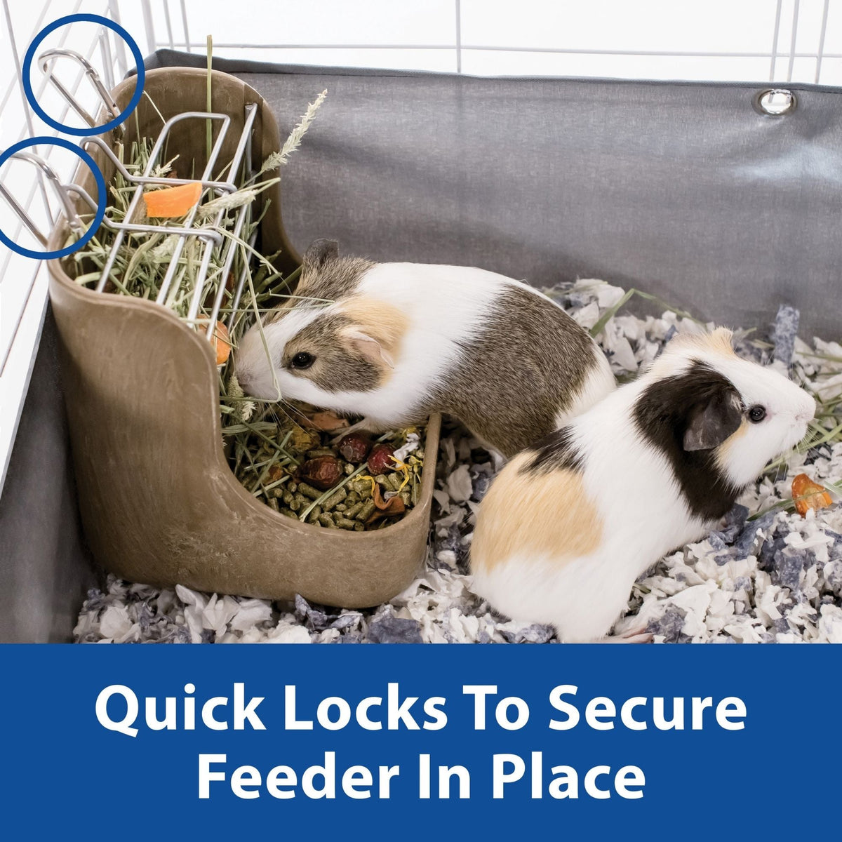 Kaytee Hay & Food Bin Feeder With Quick Locks 1ea/5.75in. X 6in. X 7in.