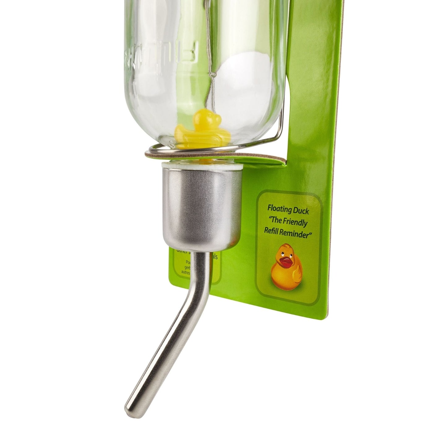 Kaytee Chew-Proof Water Bottle Clear 1ea/12oz.