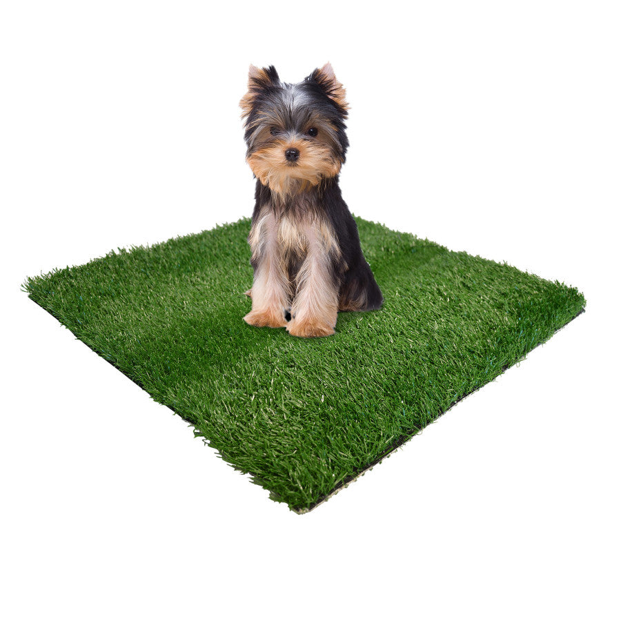 Four Paws Wee Wee Patch Replacement Mat 19X19 12ea