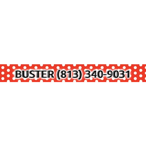 Personalized New Red Polka Dot Dog Collar