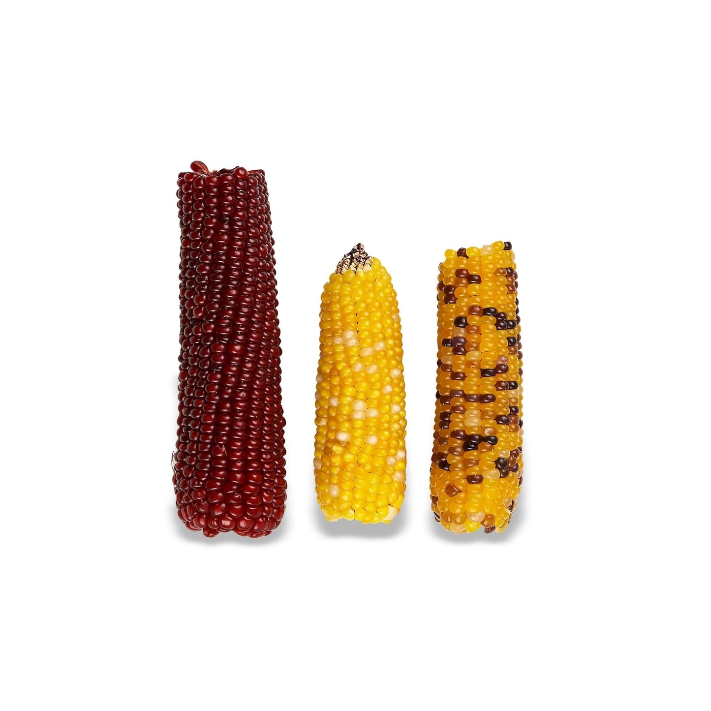 Vitakraft Mini-Pop Small Animal Treat 1ea/6oz., 3 ct