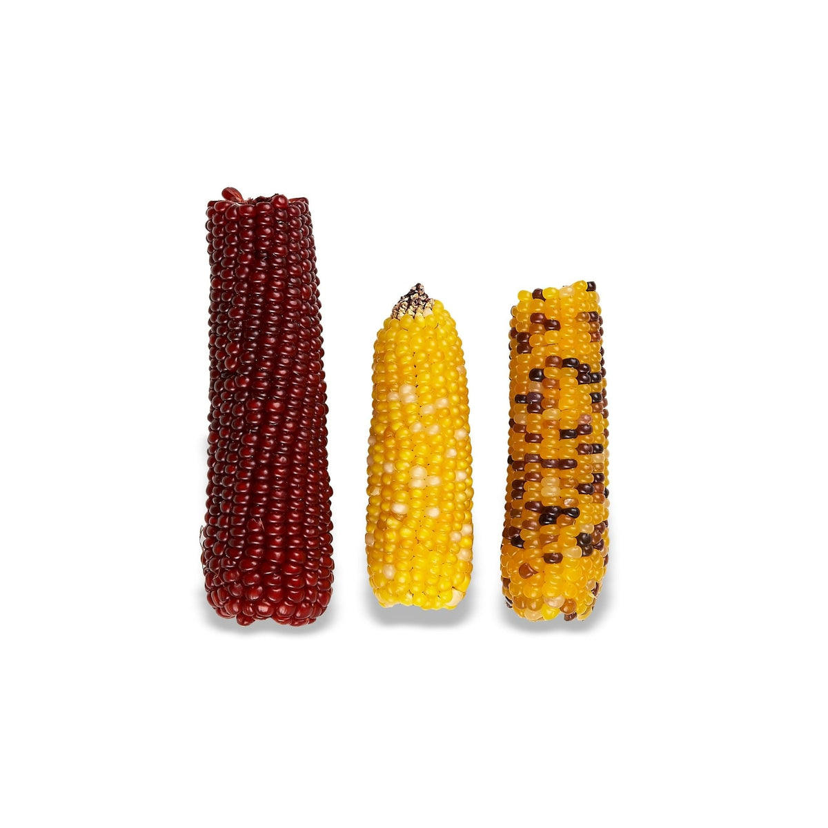 Vitakraft Mini-Pop Small Animal Treat 1ea/6oz., 3 ct
