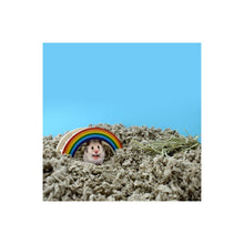 CareFRESH Complete Comfort Small Pet Bedding Natural 1ea/60 l