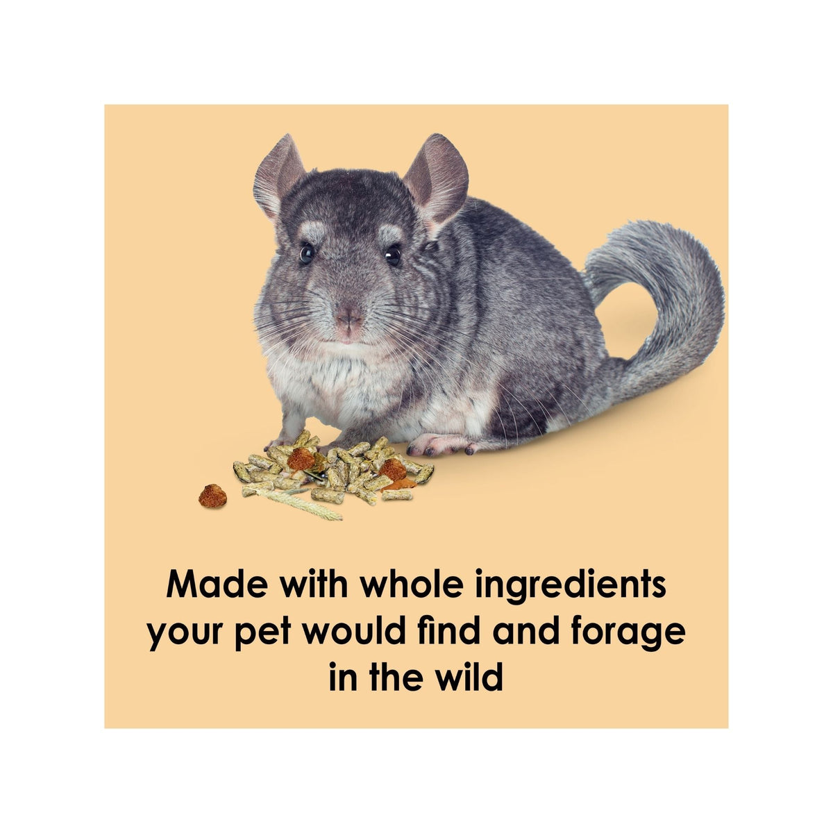 Kaytee Food from the Wild Chinchilla 1ea/3 lb