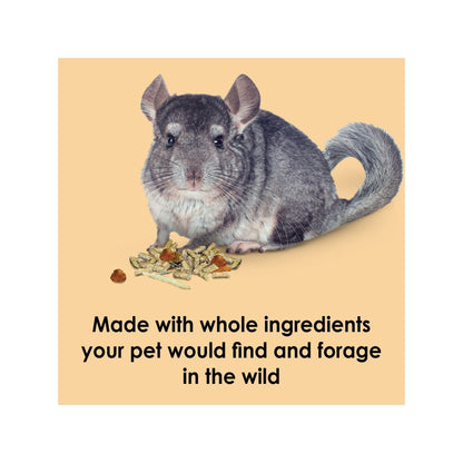 Kaytee Food from the Wild Chinchilla 1ea/3 lb