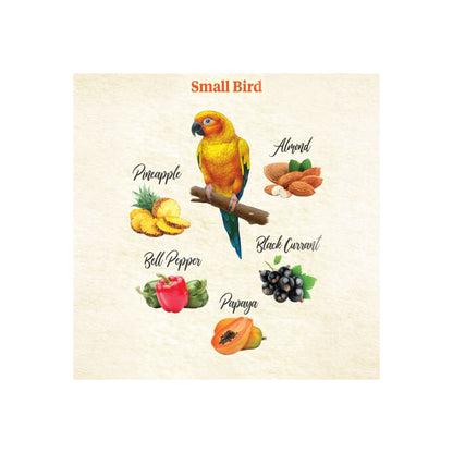 Kaytee Food From the Wild Natural Snack Small Pet Bird 1ea/3oz.