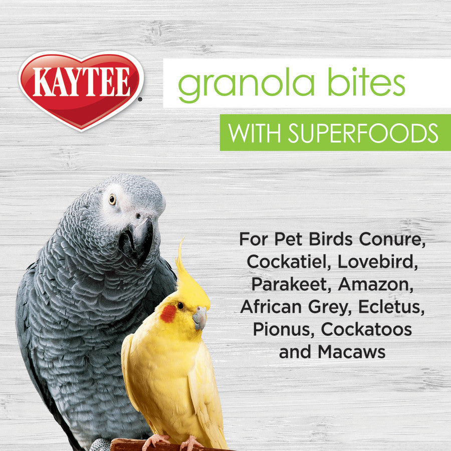 Kaytee Super Food Granola Bites Blueberry and Flax Seed Avian Treat 4.5oz